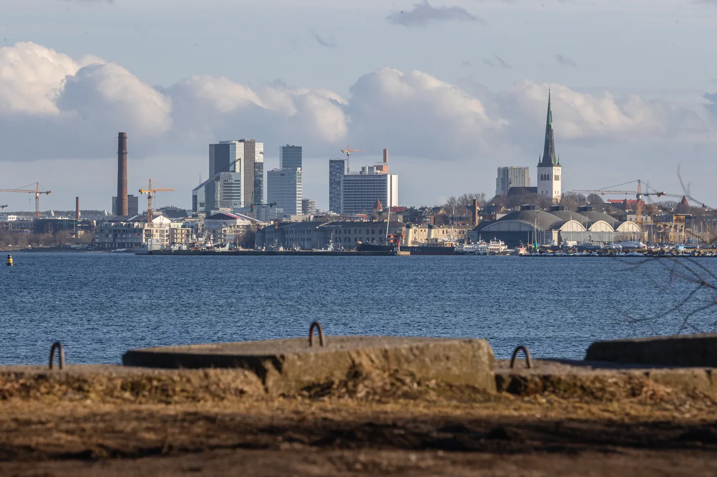 Панорама Таллинна.