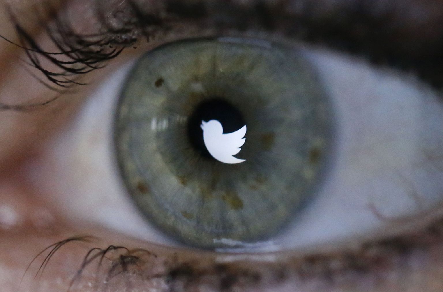 USA firma avalike suhete juht tekitas Twitteri kommentaariga skandaali
