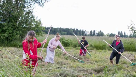 Organisatsioonid nõuavad ministeeriumilt looduse taastamise kava korda tegemist