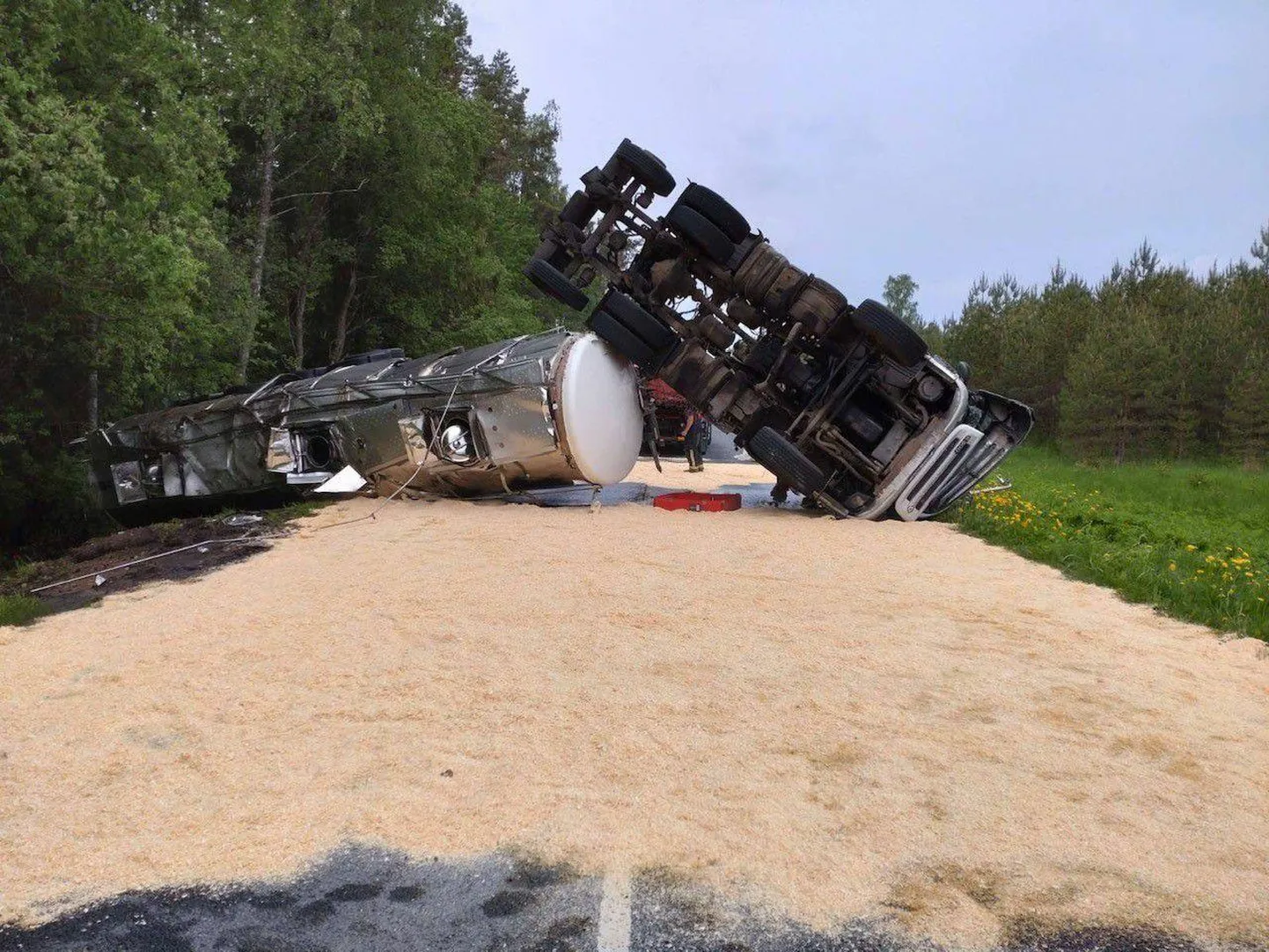 Jõgevamaal paiskus eile külili veok, mille lastiks oli enam kui 20 tonni toiduõli.
