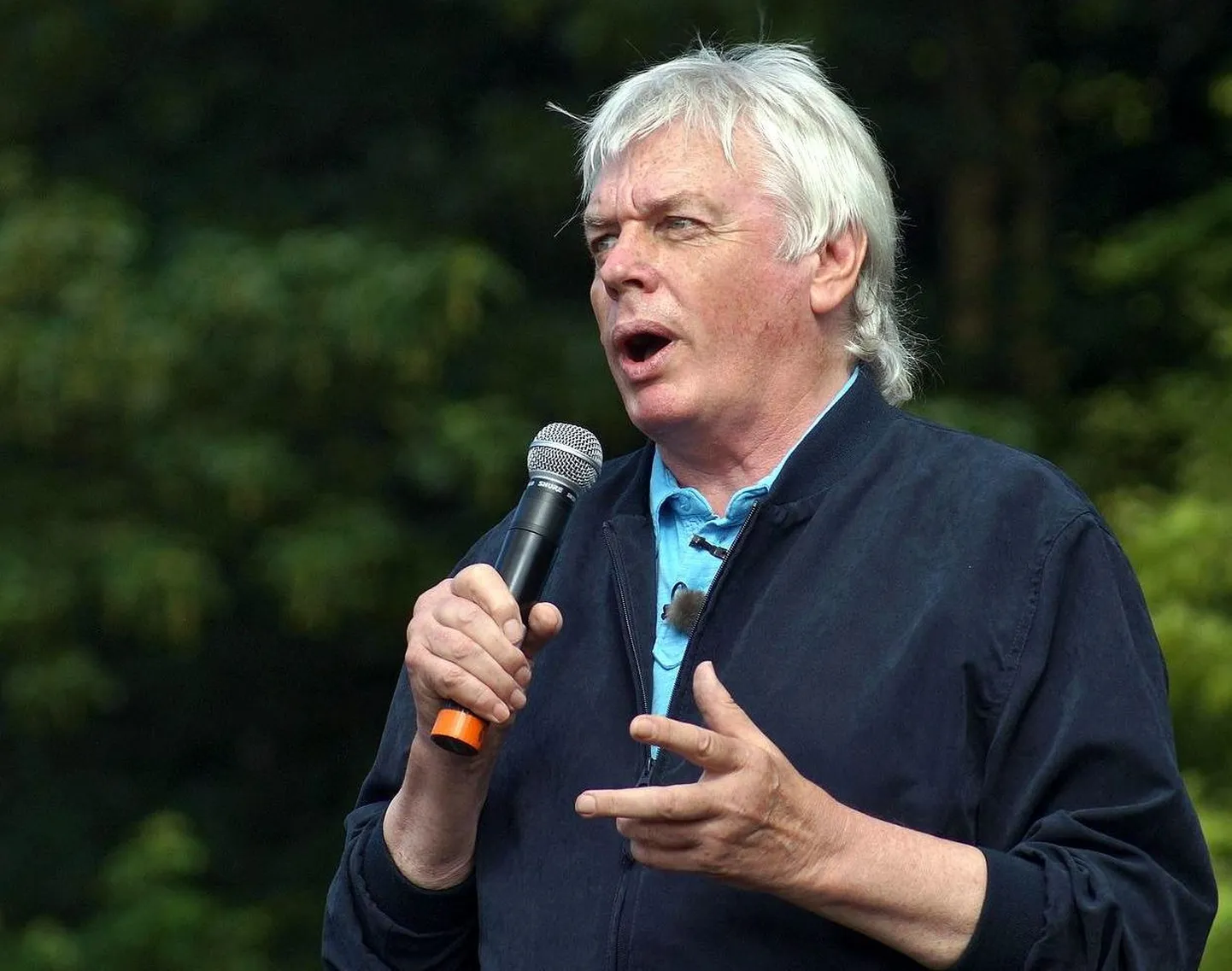 David Icke