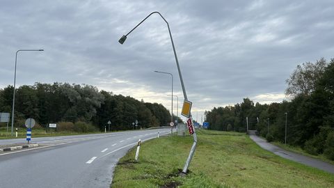 VAATA PILTE ⟩ Teeäärseid poste langeb nagu loogu