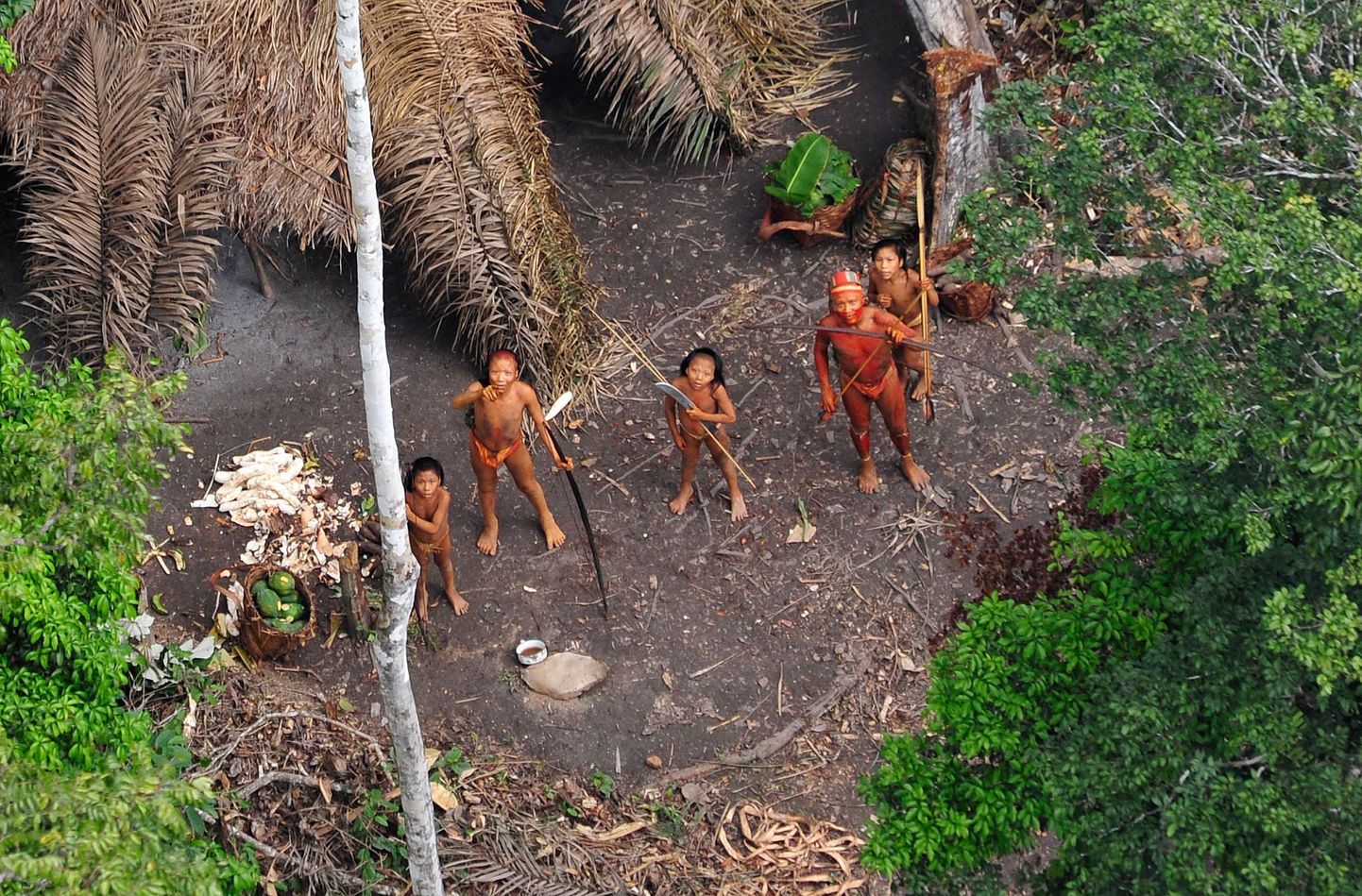 Amazonase põlishõim