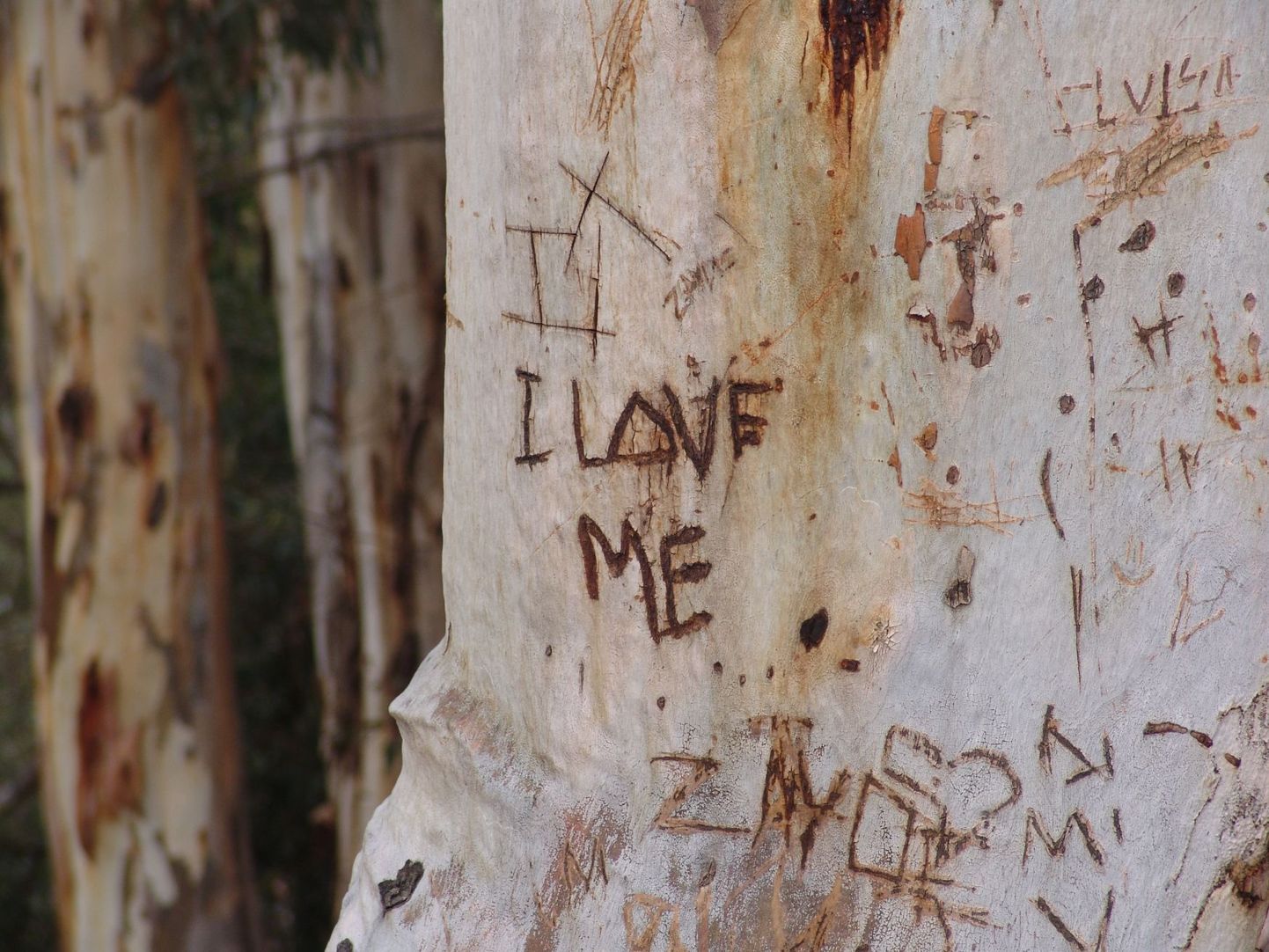 Puule on graveeritud "Ma armastan ennast".