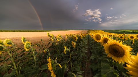 V Latviji v sredo pretežno suho vreme z delno oblačnostjo