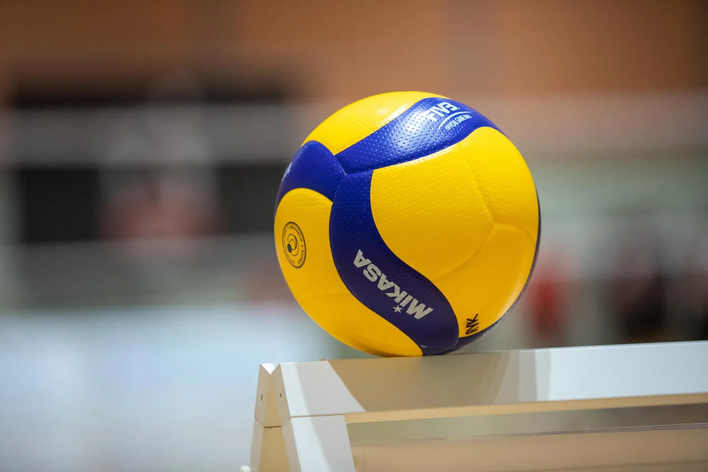 Sel nädalal alustavad Eesti U-16 neiude ja U-17 noormeeste koondis Euroopa meistrivõistluste valiksarja teist ringi. Naiskond, kuhu kuuluvad ka kolm Viljandi spordikooli mängijat, alustab B-alagrupi turniiri täna Bulgaarias Sofias Soome vastu.