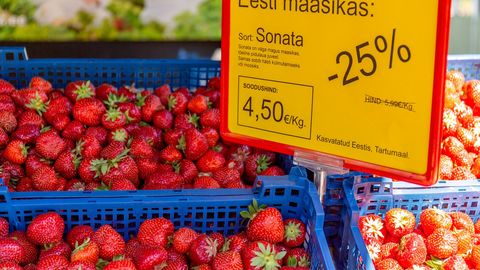 Okse, mürk ja maasikad – sissevaade eestlaste paanikahoogu