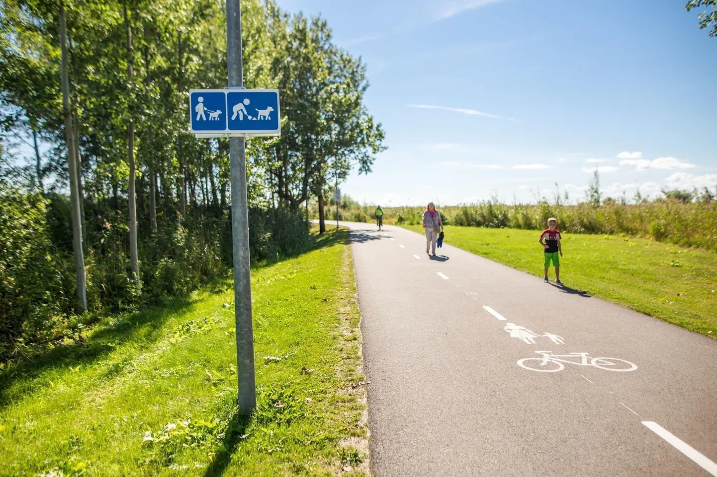 Pärnu kergliiklusteede võrgustiku arenduse käigus valmib Audru osavallas nelja aasta jooksul kokku 6,8 kilomeetrit valgustatud teid.