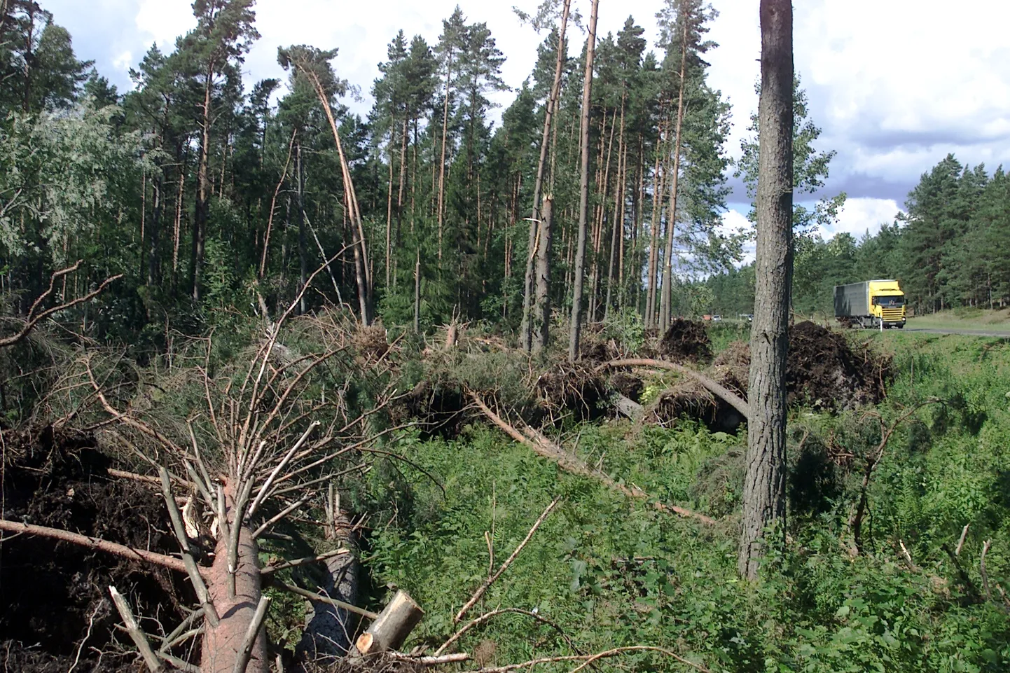 Tormimurd Pärnumaal. Pilt on illustreeriv.