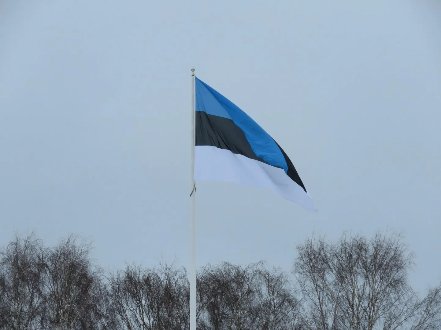 Eesti lipp.