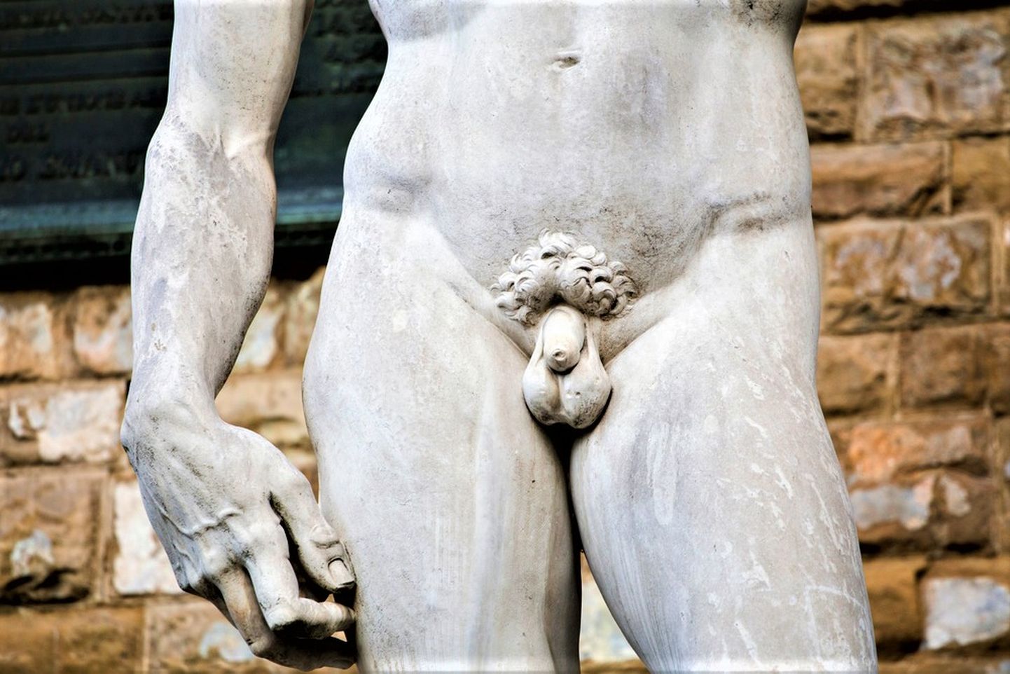Osa Michelangelo kuulsast Taaveti kujust Firenzes, Itaalias.