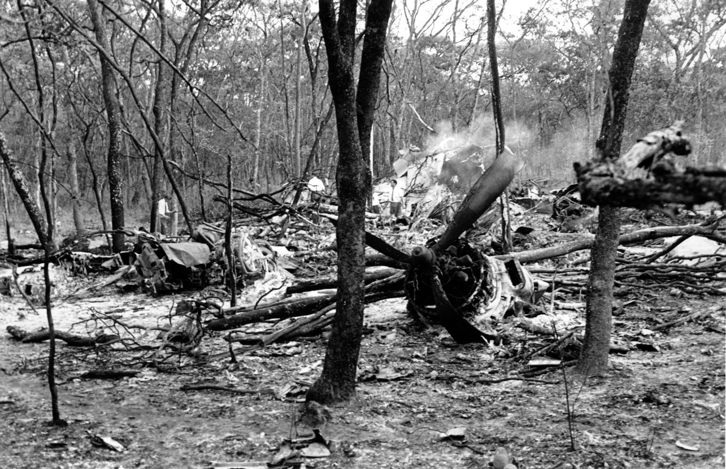 ÜRO peasekretäri Dag Hammarskjöldi lennuki rusud Sambias Ndola lähedal metsas. Foto 19. septembrist 1961.