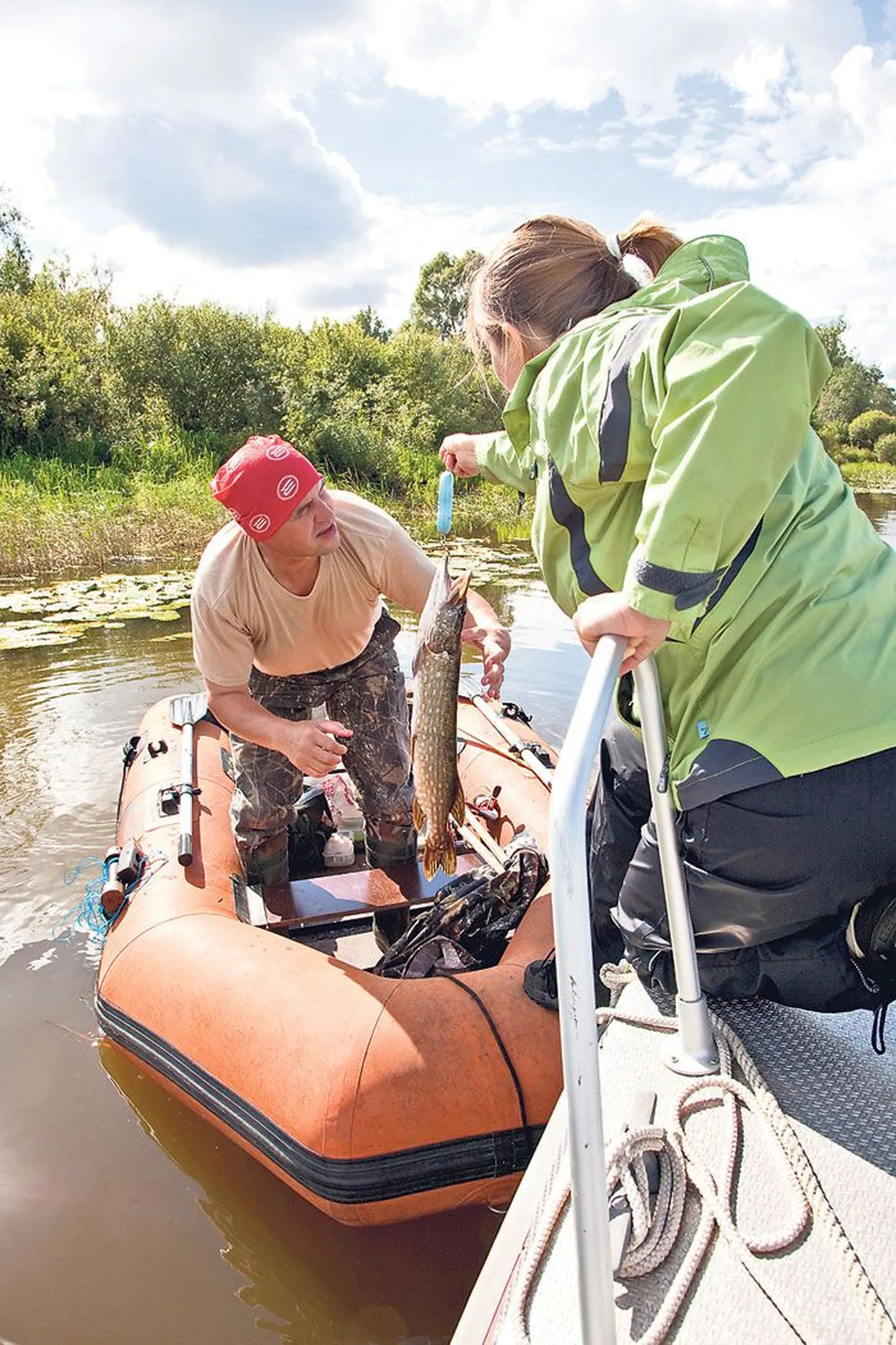 Uurijate kinnitusel oli lõviosa kalastajatest väga sõbralik: meelsasti lubati oma saak ka üle kaaluda. Pil­dil kaalub Lõuna-Eesti Kalastajate Klubi juht Lea Saar harrastuskalamehe püütud haugi.