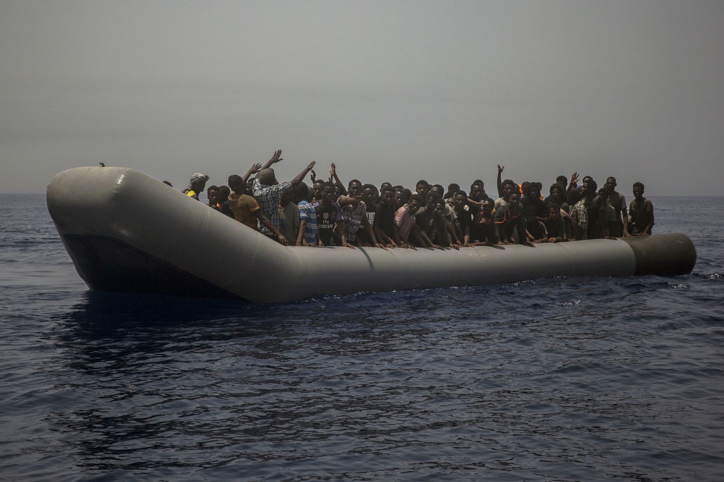 Migrandid merel