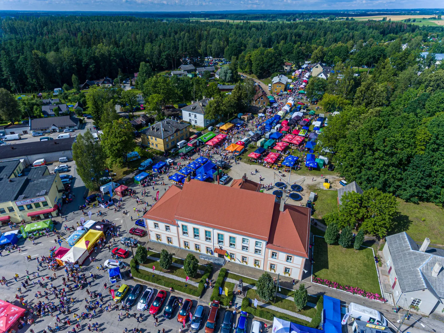 Hauka laat