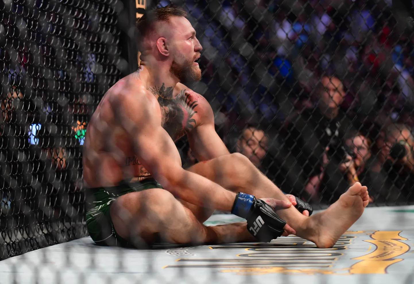 Conor McGregor.