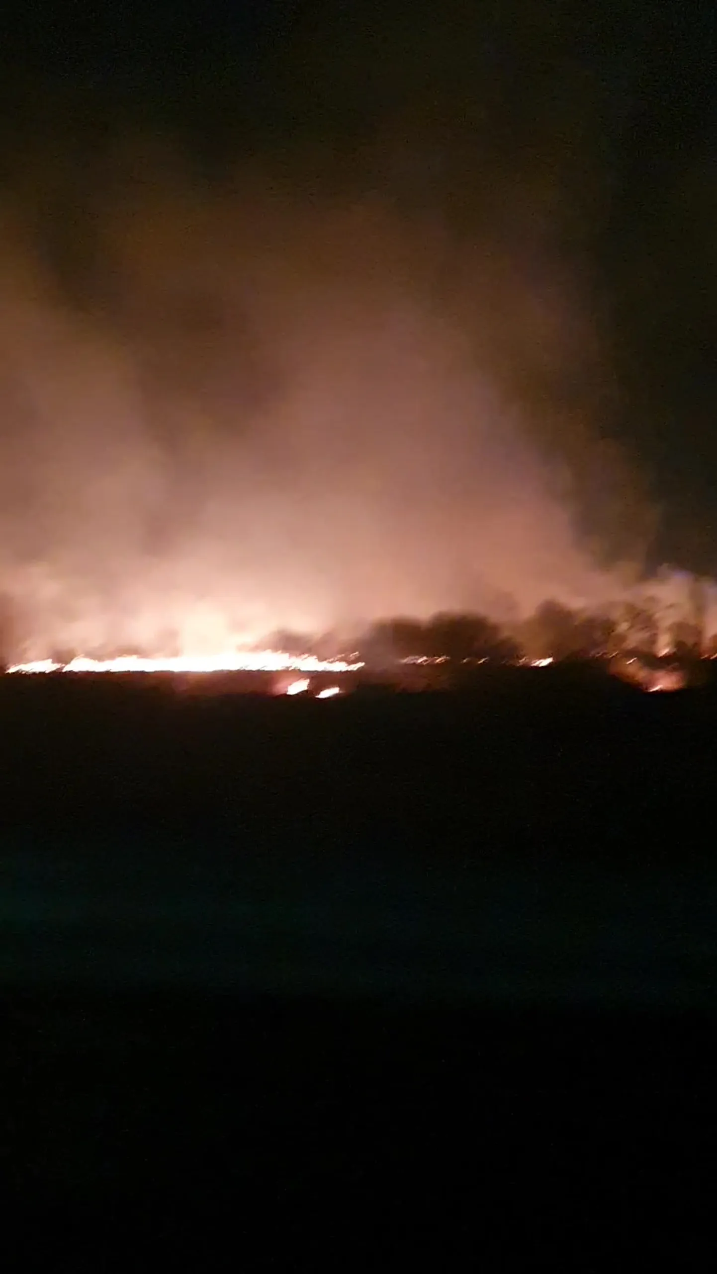 В Юрмале, у автозаправки, вспыхнул пожар