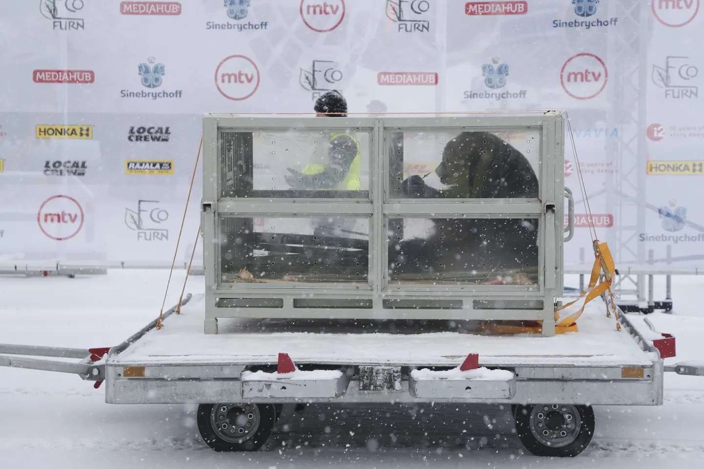 Hiinast toodud hiidpanda transporditakse puuris Ähtäri loomaparki.