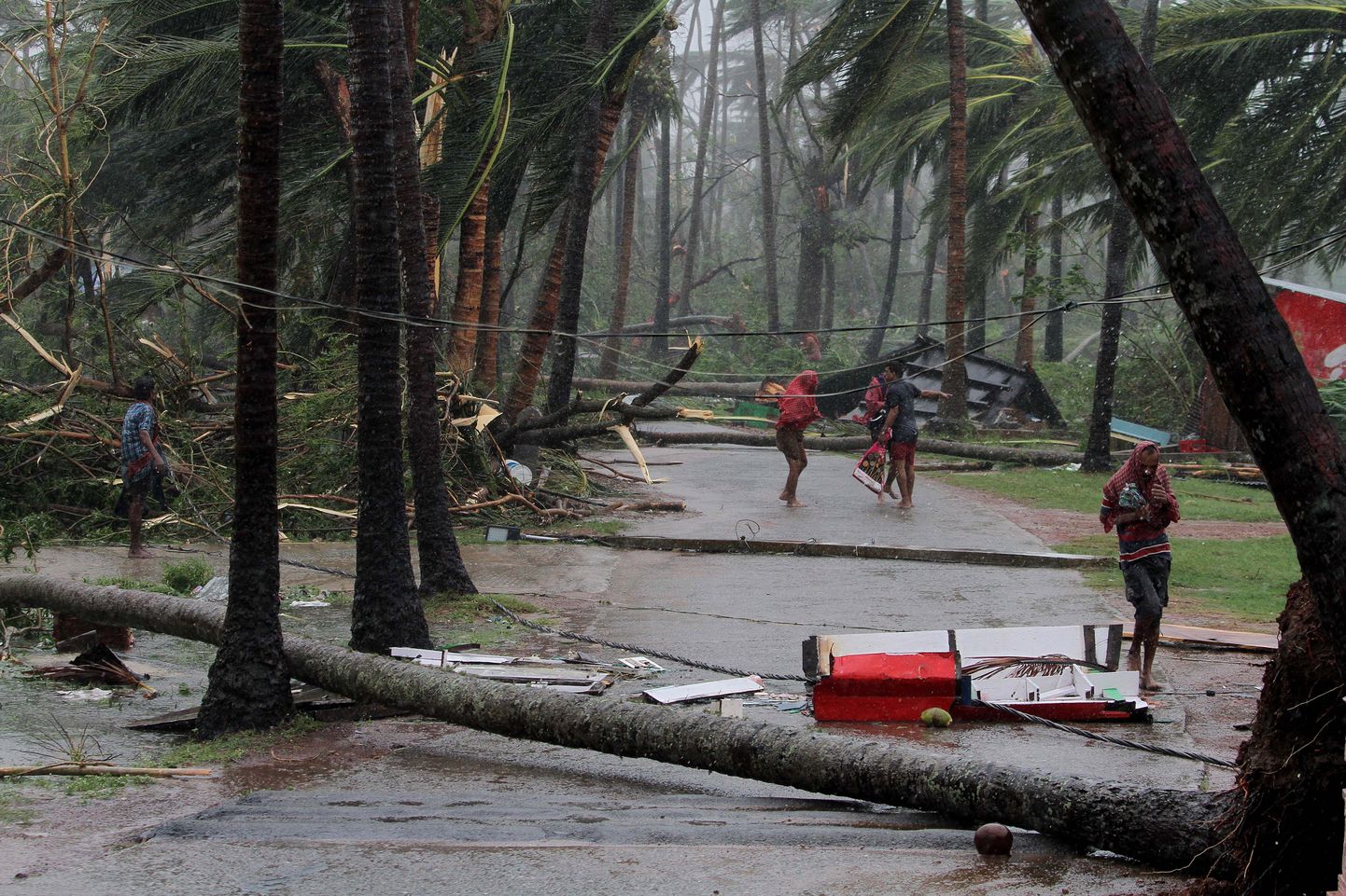 Последствия тропического циклона Фани.