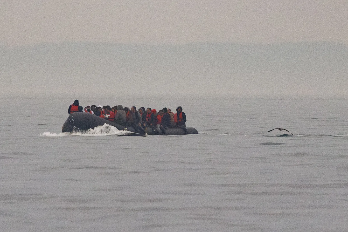 La Manche'i väina ületavad migrandid.