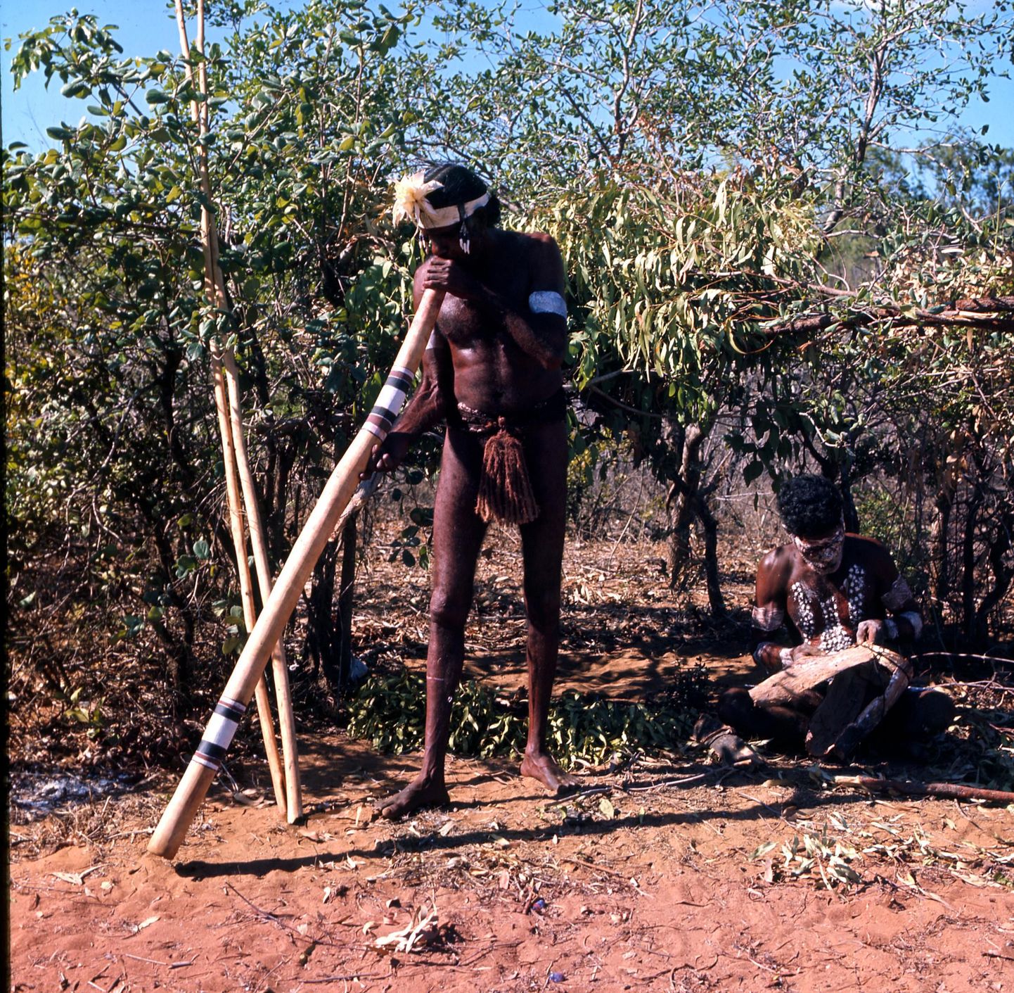 Austraalia aborigeen gidgeridoo`d mängimas