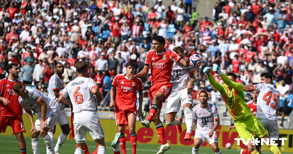 Benfica vs Bayern: Historic Defeat for Benfica | TVNET Sports
