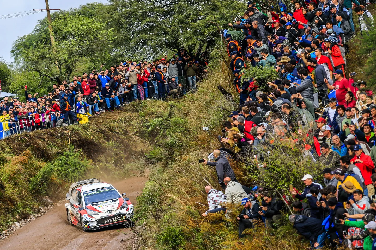 Ott Tänak ja Martin Järveoja 2019. aastal Argentina rallil.