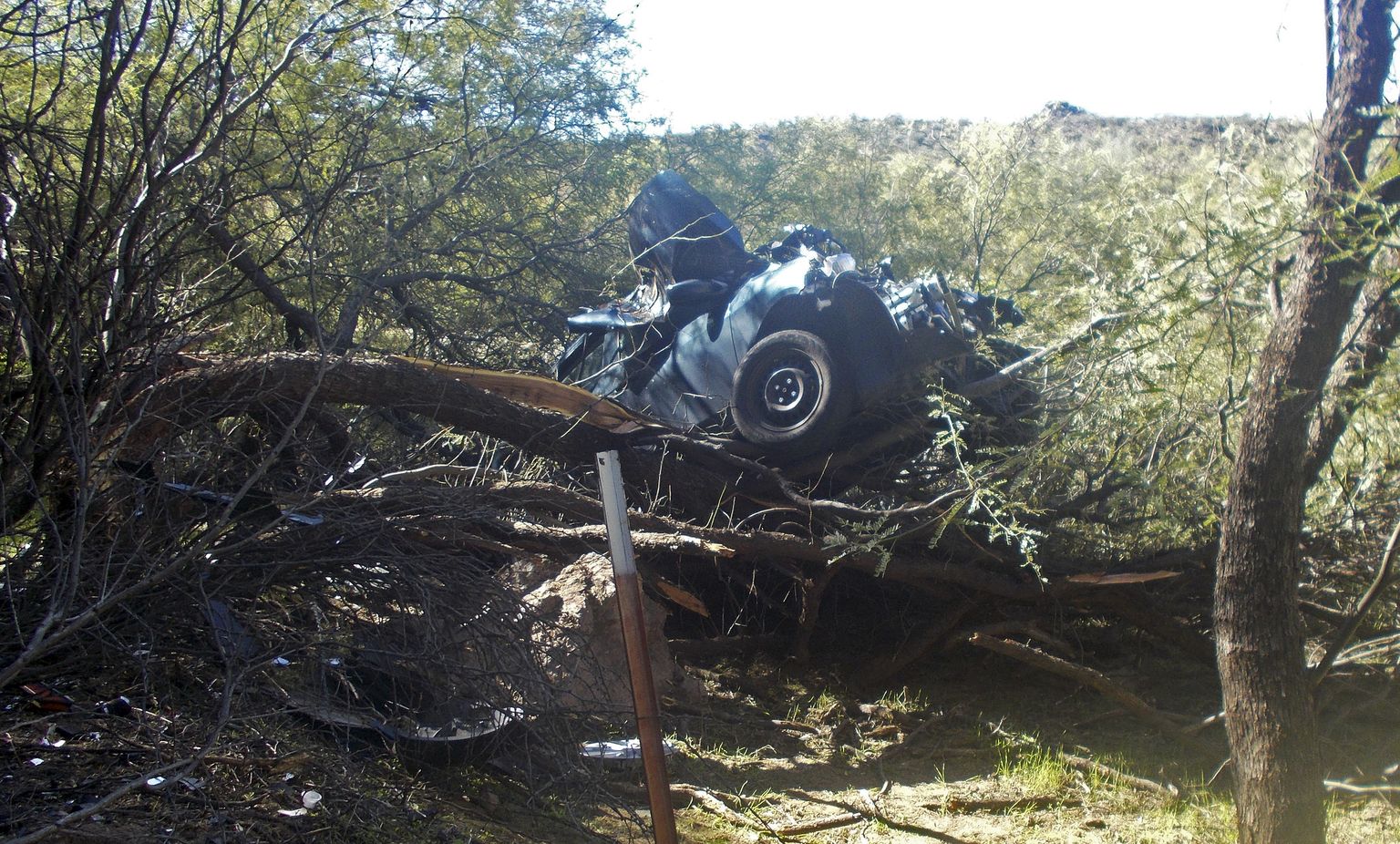 Meskiidipuule kukkunud auto USAs Arizonas.  Õnnetuses kannatada saanud 53-aastane naine päästeti