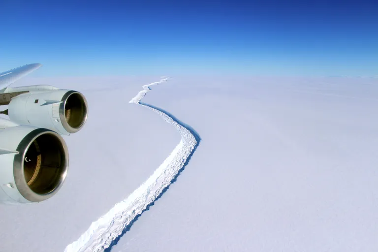 Larsen C lõhe