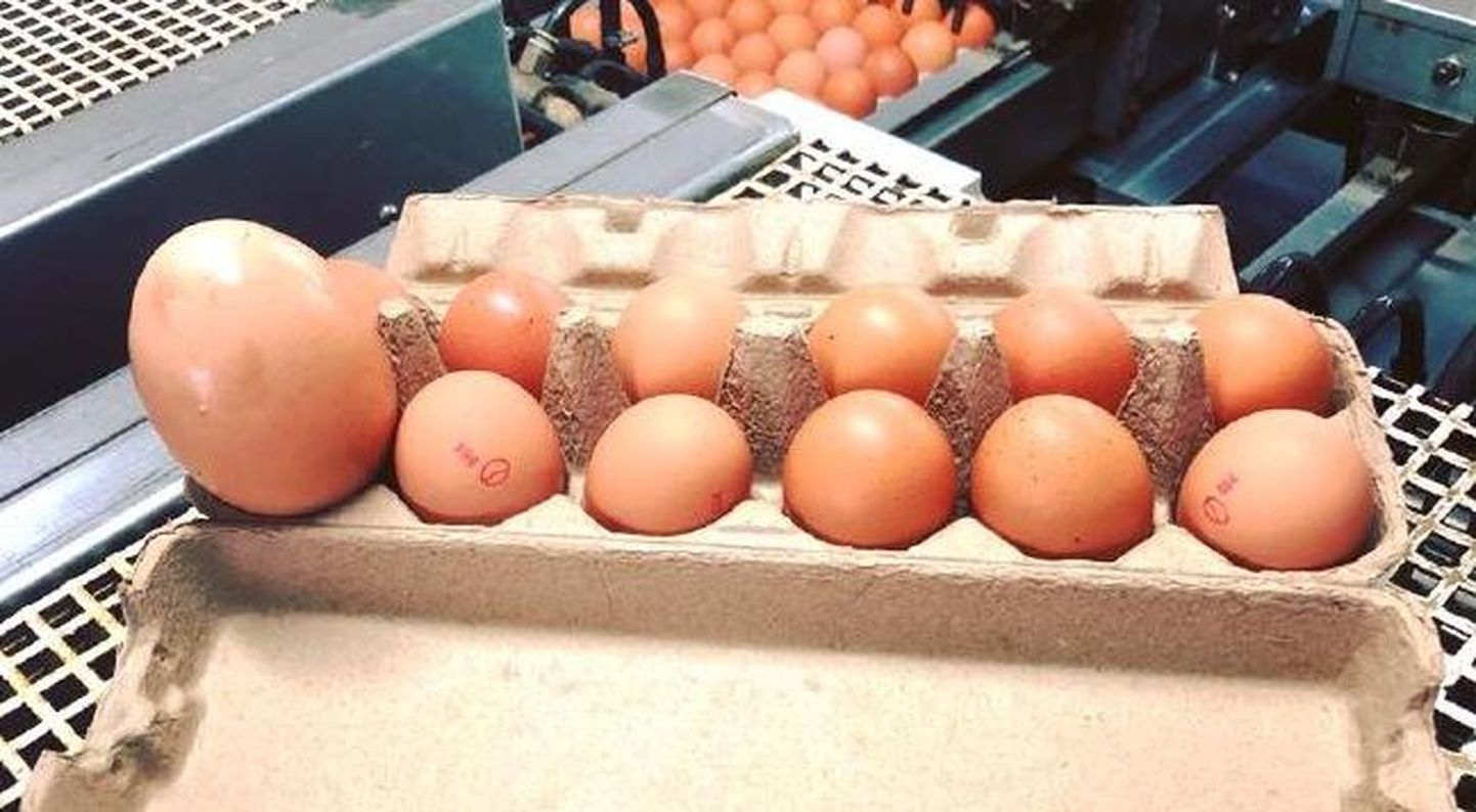 Большие яйца надо готовить дольше.