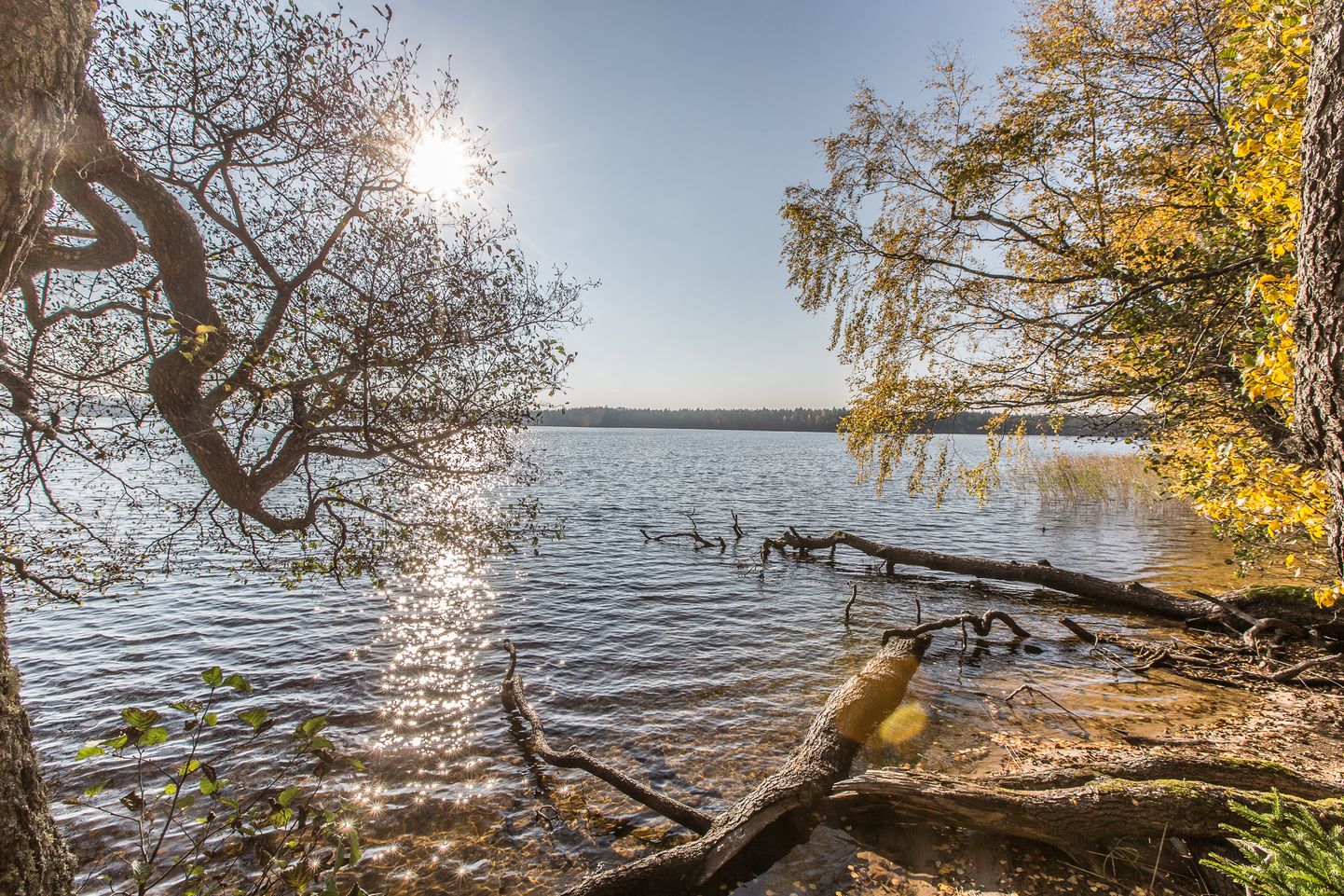 Исследование выяснит, что влияет на уровень воды в озере Ульясте и что может произойти в случае, если добыча сланца расширится в сторону озера.