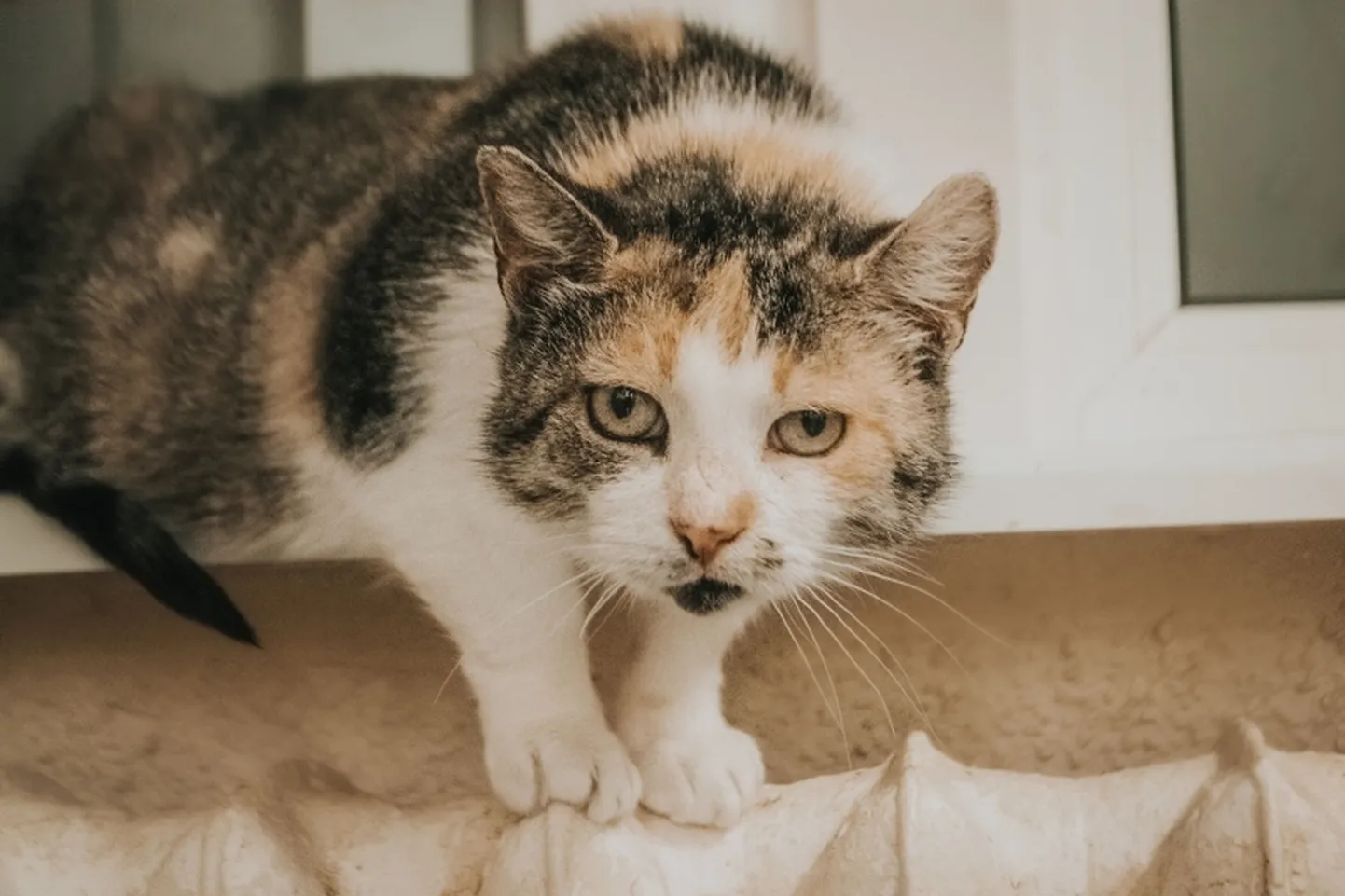 Keiko.