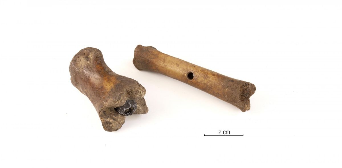 Raekoja platsilt leitud ja keeglisarnases mängus kasutatud tinasüdamikuga veise varbalüli ning Viru 10 avastatud vurriluu.