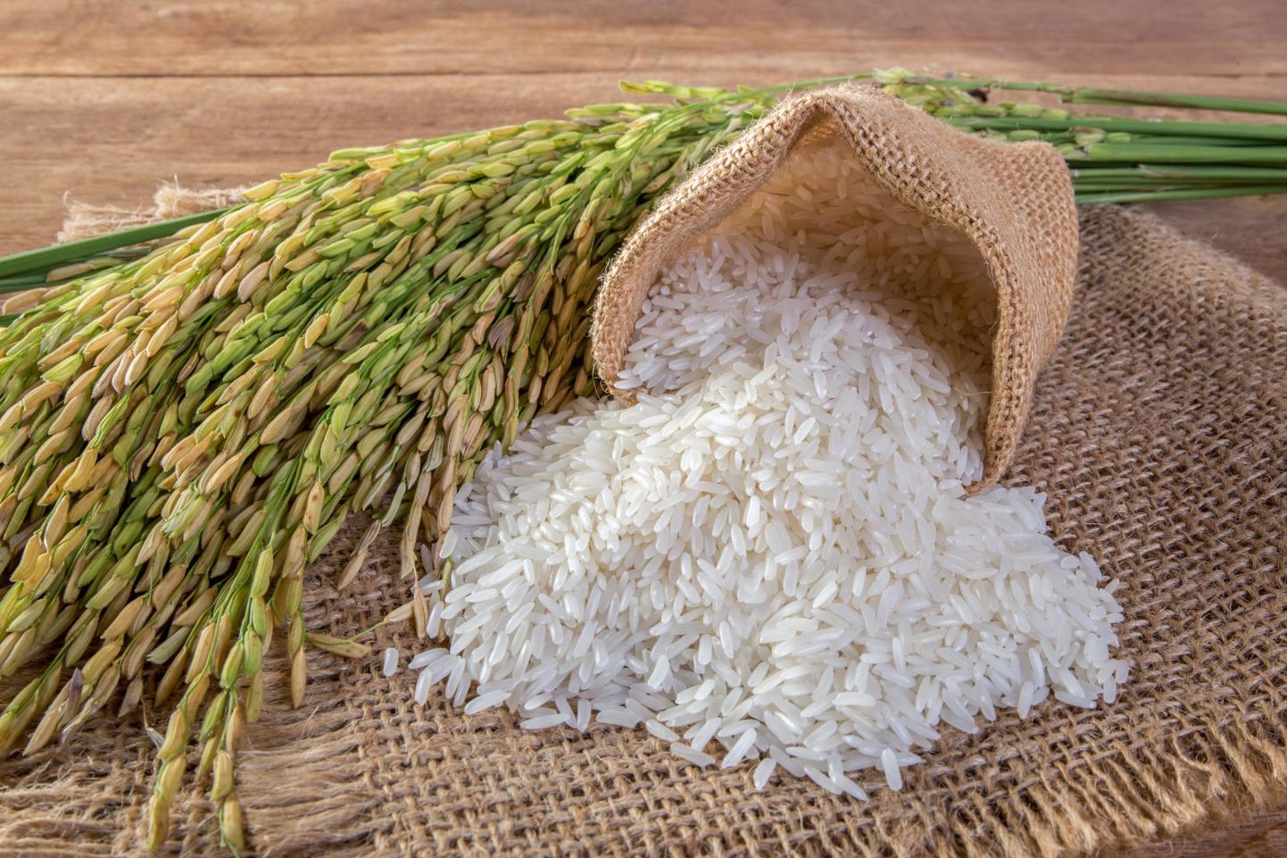 Valge riis on kooritud riis, millelt on kest eemaldatud.