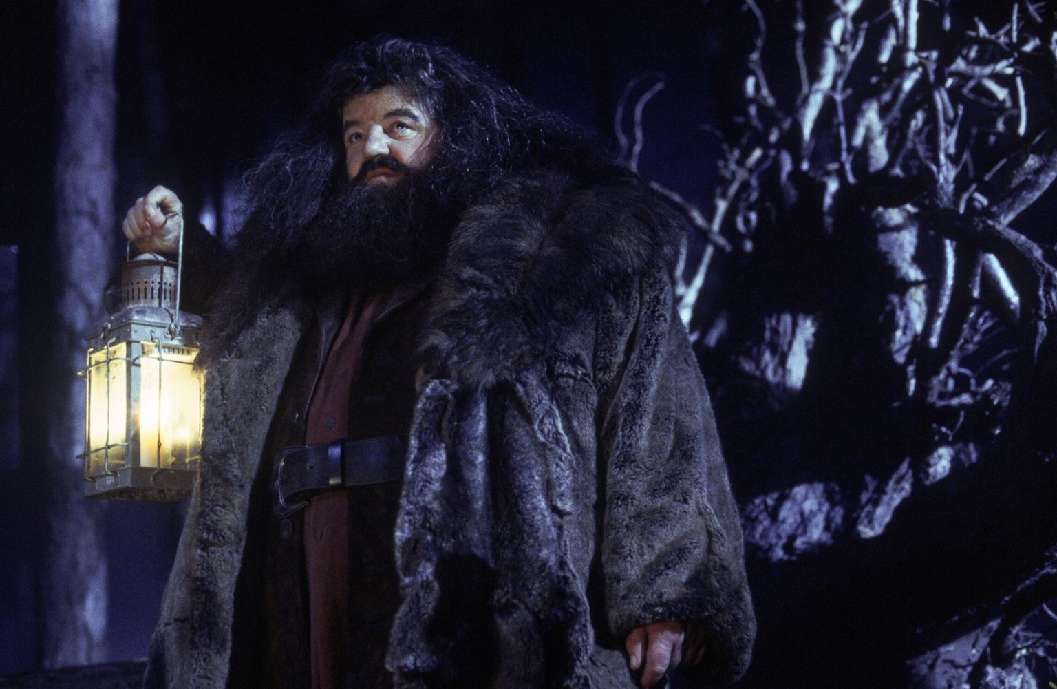 Rubeus Hagrid filmis «Harry Potter ja tarkade kivi».
