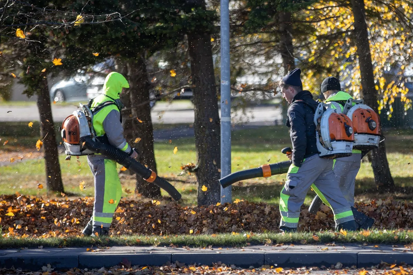 Huvitaval kombel hääletas rohelise pealinna rahvakogu maha ettepaneku piirata ja reguleerida lehepuhurite kasutamist linnas.