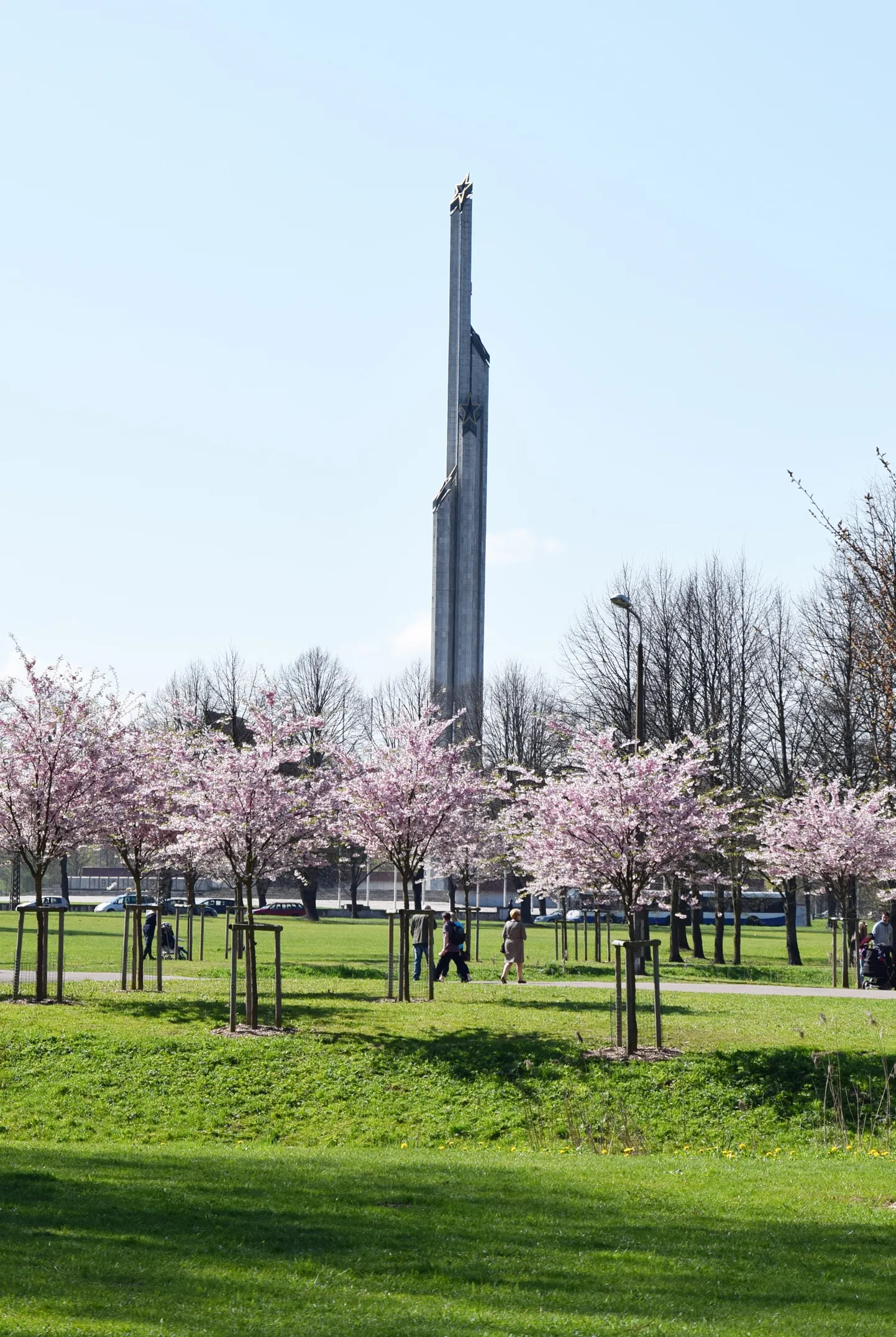 Ziedošās sakuras un piemineklis Uzvaras parkā.