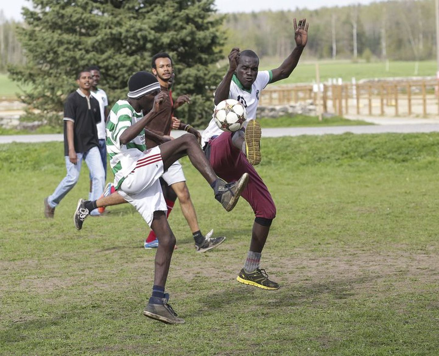 Vähegi ilusa ilmaga mängivad varjupaigataotlejad jalgpalli, tavaliselt liitub nendega ka mõni kohalik noormees.