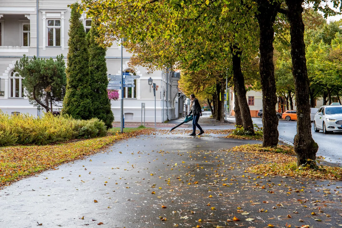 Kõnniteid puhastatakse iga päev. Lehekoristusega on keskuslinnas rakkes kolm ettevõtet.