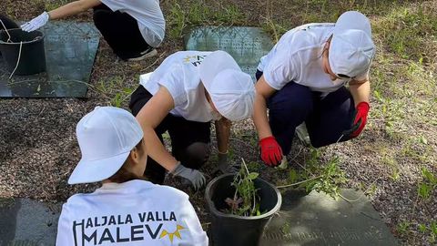 Haljala valla õpilasmaleva esimene vahetus annab teatepulga üle järgmistele malevlastele