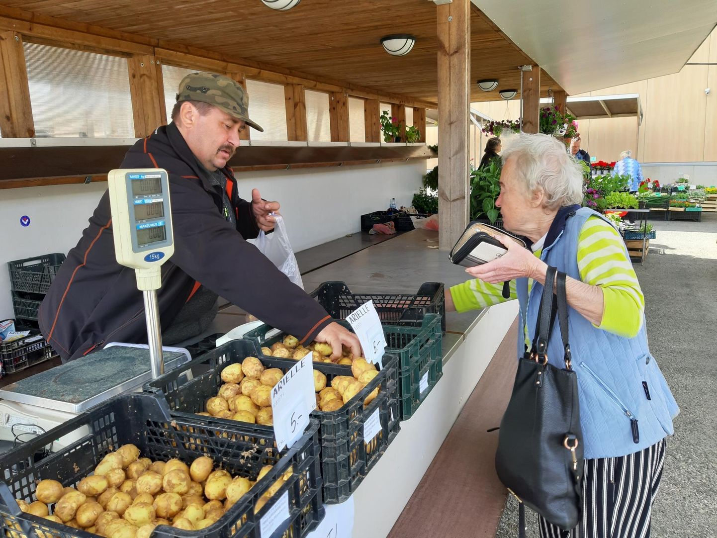 Peegi-Kuressaare talu peremees Arnold Peek müüb kasvuhoones kasvatatud värsket kartulit.
