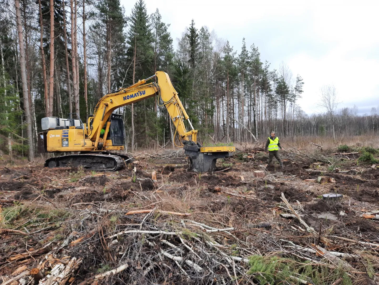 Niiskel langil teeb istutusmasin pinnasest künkad, millel on pisike kuusk kaitstud liigniiskuse eest ning hein ja võsa ei suuda teda lämmatada. Mõne aastaga vajuvad künkad maapinnaga tasa.
