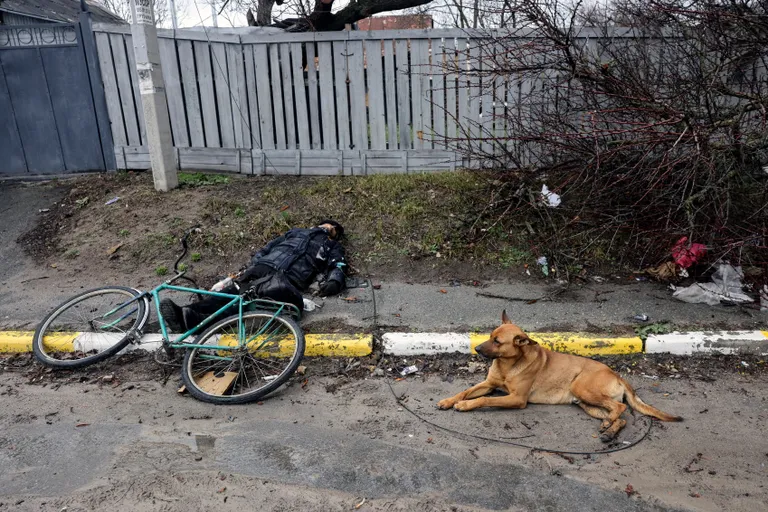 Фото статьи