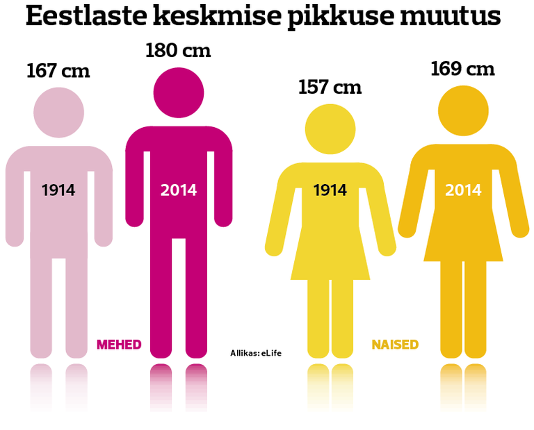 eLife uuring näitab, et Eesti meeste ja naiste keskmine kasv on 100 aasta jooksul oluliselt tõusnud.