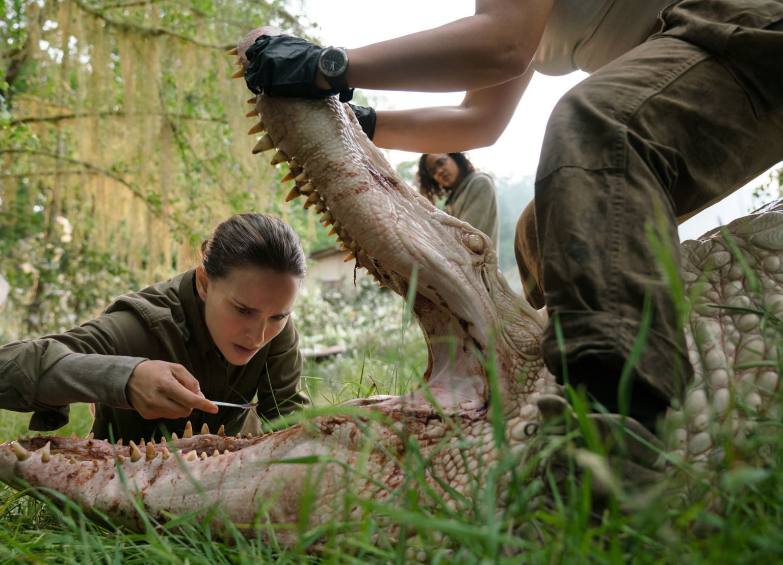 Filmis «Annihilation» avastab bioloog (Natalie Portman), et kummalises Tsoonis toimub loodusega midagi kahtlast.
