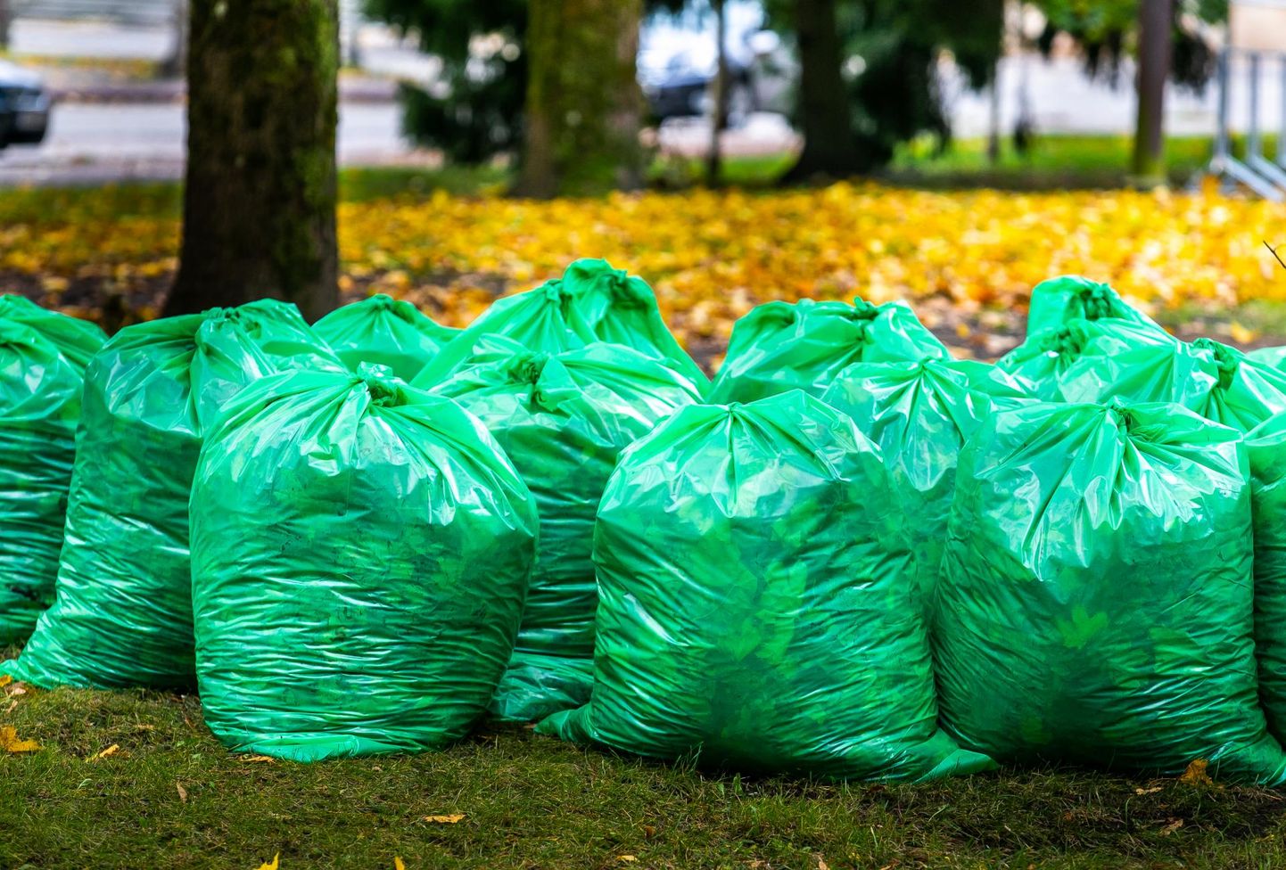 Aia- ja haljastusjäätmed tuleb pakkida biolagunevatesse kottidesse.