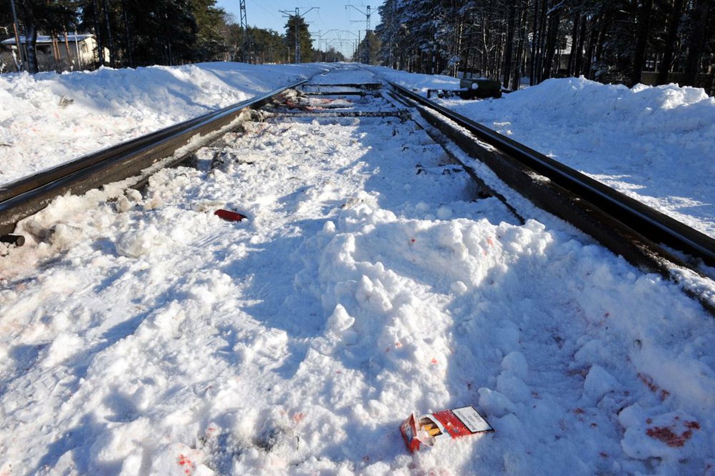 Tallinnas Kivimäel jäi eile varahommikul rongi alla ja hukkus kirjakandja.