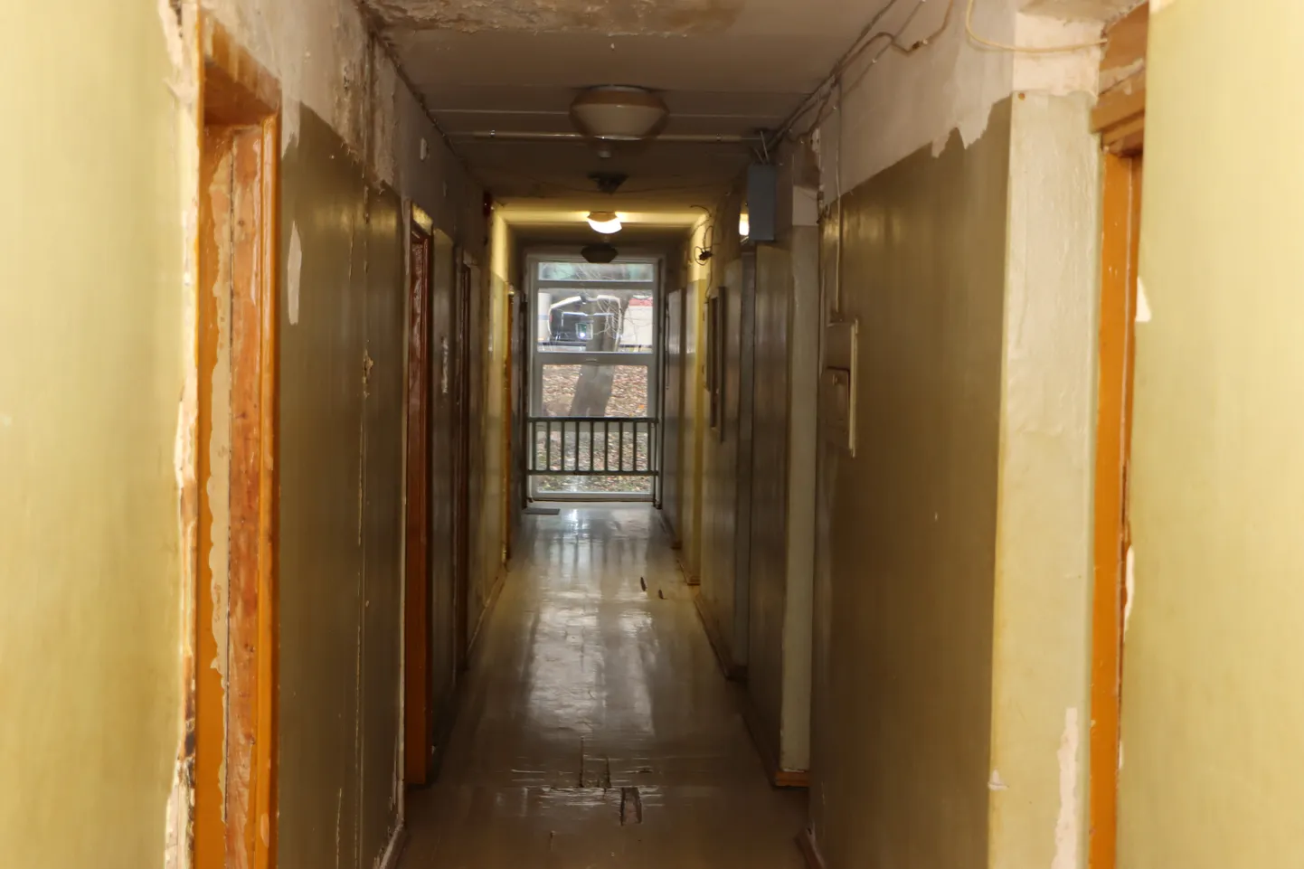 В коридоре не было ремонта десятилетиями, так выглядят почти все.