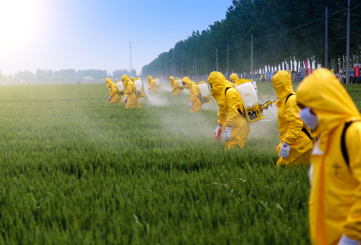 Pestitsiidid seavad ohtu inimeste tervise.