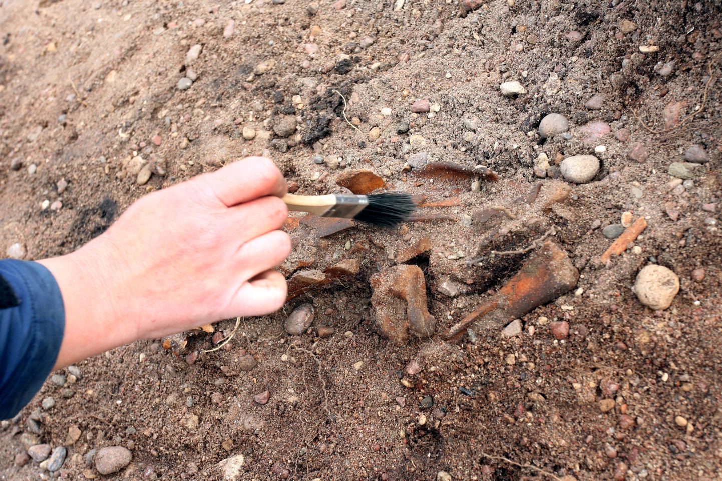 Arheoloogilised väljakaevamised Saaremaal Salme külas